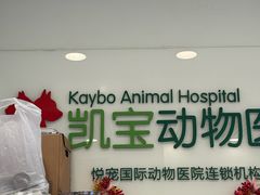 -悦宠凯宝动物医院·牙科·皮肤科(朝阳北路店)