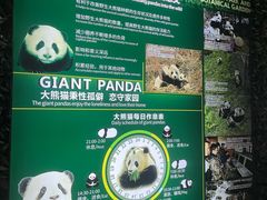 -海南热带野生动植物园