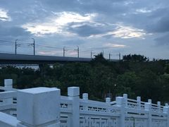 -宝安西湾红树林湿地公园