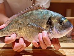 -镹·鱼料理  国产鱼使用店