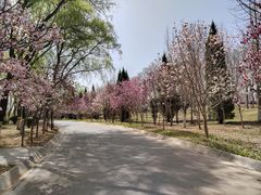 -石家庄市植物园