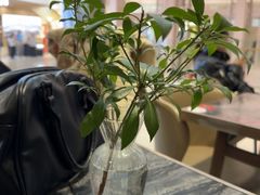 -THE WOODS 简餐 (国贸商城店)