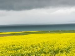 -青海湖国家重点风景名胜区