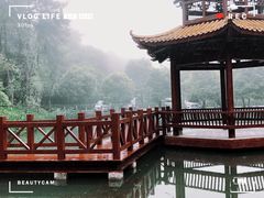 -铁山坪森林公园