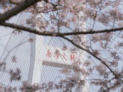 -上海南浦大桥长途旅游客运站