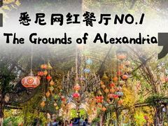 -The Grounds of Alexandria