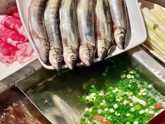 -海底捞火锅(劲松店)
