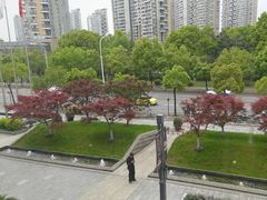 -大拙里·精致融合菜(沙湖桃源国际店)