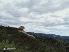 -磬锤峰森林公园