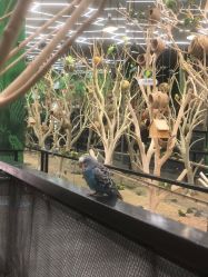 -未来动物城主题公园(正弘城店)