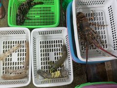 -班赞海鲜市场