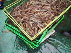 -王四营海鲜市场