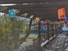 -上海醉白池公园