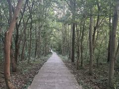 -南京金牛湖风景区