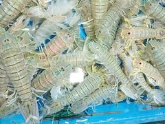 -特色海鲜美食(老街店)