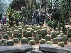 -大连森林动物园