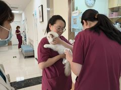 -美联众合动物医院·24h京西诊疗中心
