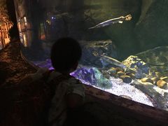 -暹罗海洋世界
