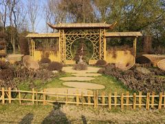 -上海共青森林公园