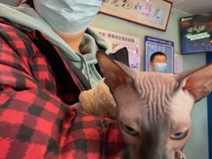 -全心全意连锁动物医院·特色中医诊疗(会城门分院)