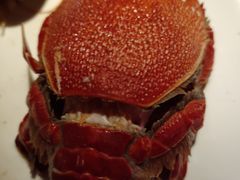 -加餐海鲜自助(集美银泰百货店)