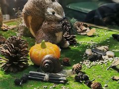 -初拾·花里餐厅(钜城华亿店)