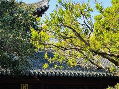 -秋霞圃