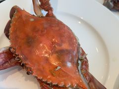 -东方红海鲜百汇(国际大厦店)