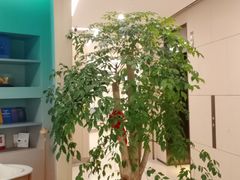 -曼朗心理咨询·青少年儿童·婚姻家庭职场