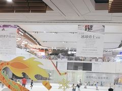 -TheRink大零溜冰场(IFS国金中心店)