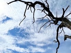 -华山风景名胜区