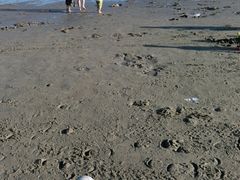 -南澳海滩