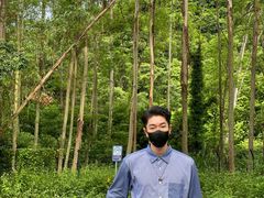 -田心森林公园