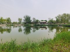 -西海子公园