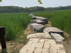 -西青郊野公园