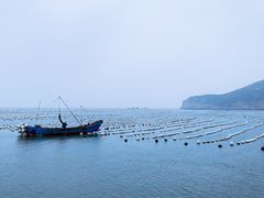 -枸杞岛