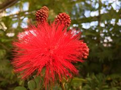 -南通洲际绿博园