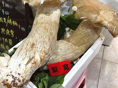 -原林野山菌火锅·炒菌(关上野生菌一条街店)