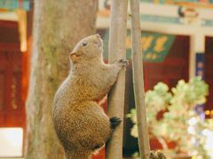 -昆明市金殿名胜区