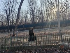 -秦皇岛野生动物园