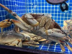 葱油珍宝蟹-徽三说·土徽菜·中国徽菜连锁品牌(阳湖总店)