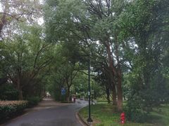 -宝岩生态观光园