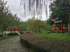 -西南政法大学(渝北校区)