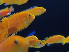 -成都浩海立方海洋公园