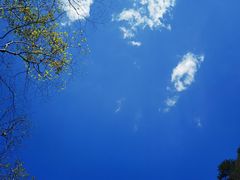 -青峰峡国家森林公园