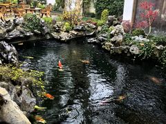 -鲤院·新中式美学·庭院餐厅(夫子庙店)