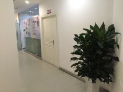 点击看大图 -美莱医学美容医院