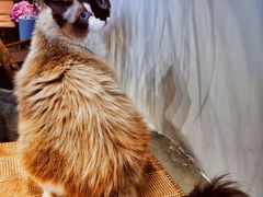 -seeu coffee(江滩店)