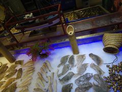 -蒙肥羊·酸汤潮牛·鲜牛肉火锅烤肉自助(岗顶店)