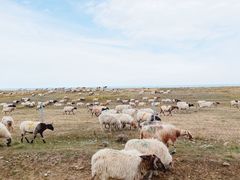 -青海湖国家重点风景名胜区